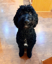 Load image into Gallery viewer, Dog Mama Stitched Tee