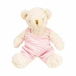 Pink Teddy