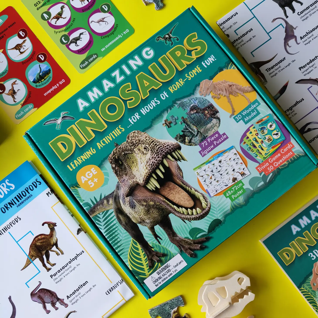 Amazing Dinosaur-Activity Box Set